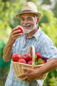 alimentation personnes âgées antioxydants